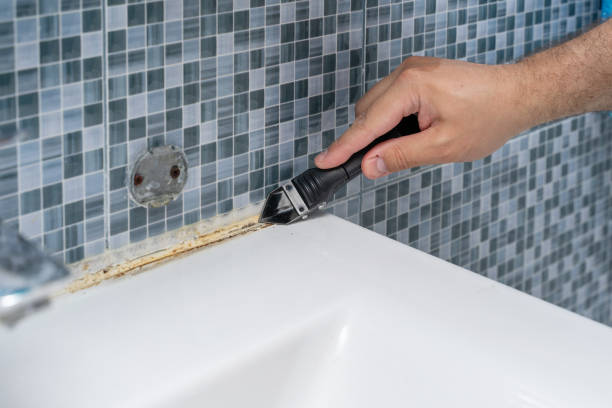 Best Home Mold Removal  in Golden Gate, FL