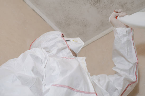 Best Mold Remediation  in Golden Gate, FL
